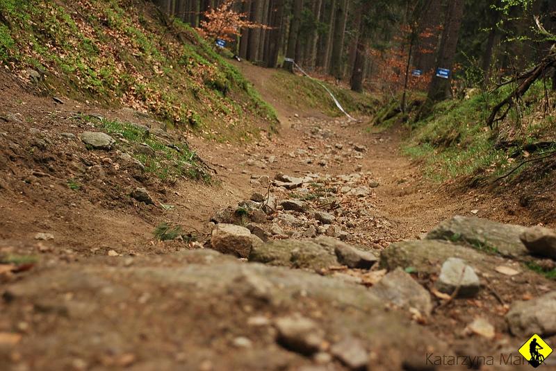 karpacz.jpg - Do góry starałem się trzymać tętno w granicach 160-170, co dawało mi od startu dużo większą prędkość od tłumu z końca stawki. Niestety na zjazdach Ci ludzie nie mieli żadnych szans. Problemem było natomiast wyprzedzenie! Co mnie bardzo denerwowało, bo jak ktoś pod górę krzyczał "droga" to ustępowałem miejsca. Z kolei jak ja krzyczałem "droga" zapierd.. w dół, to owy gość, który mnie łyknął, już nie chciał przepuścić. Musiałem się przepychać przez las poza trasą.