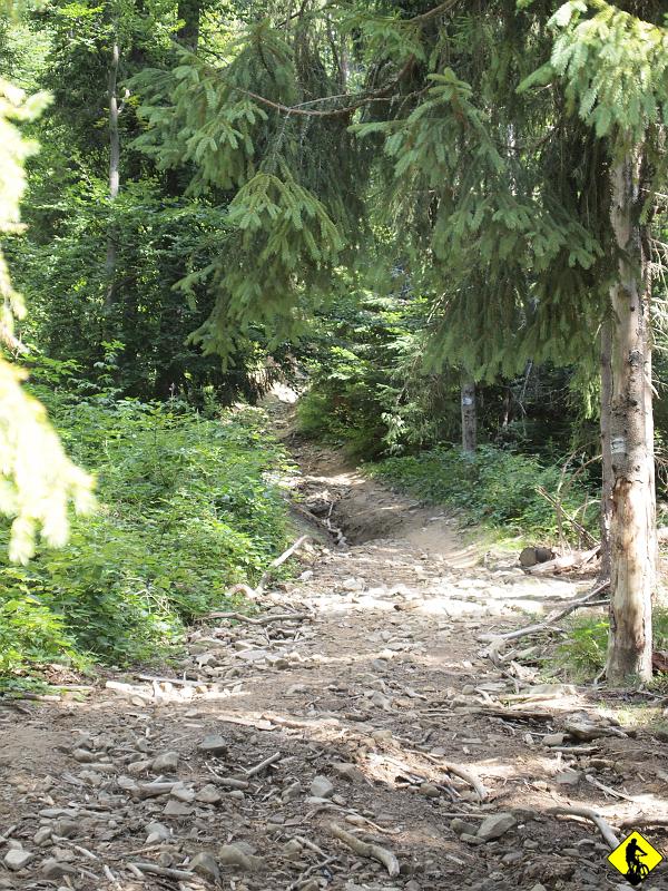 3.jpg - Mkniemy w kierunku Przełęczy Knurowskiej, zwalniamy tylko w jednym miejscu (widocznym na zdjęciu), gdzie jest stromo i leży mnóstwo luźnych kamieni. Pamiętam jak Failo „zsunął” się tu z roweru… albo rower wysunął się spod Faila… no jakoś tak to było :)