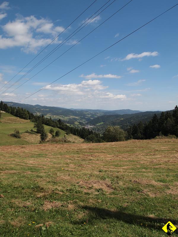 4.jpg - Trzy godziny później (13.30) jesteśmy na Studzionkach. Pogoda wyśmienita, choć czuć jesień (zimne podmuchy wiatru). Tu robimy sobie dłuższą przerwę na podładowanie się skarbami z plecaka. Zastanawiamy się jak nudne musiałoby być życie, gdyby ludzie nie mieli hobby, pasji lub mówiąc wprost: zdrowego pierdolca na jakimś punkcie :) (teraz już wiem, że muszę usunąć akwarium z pokoju :P )