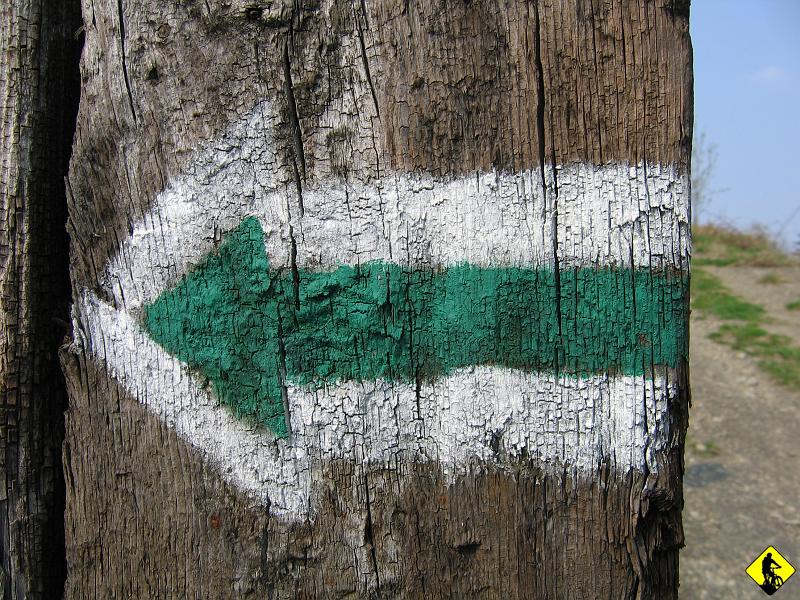 IMG_0284.jpg - Kobylica i Pańska Góra to dwa ostatnie wzniesienia przed Andrychowem na zielonym szlaku. Wypad się powoli kończy.