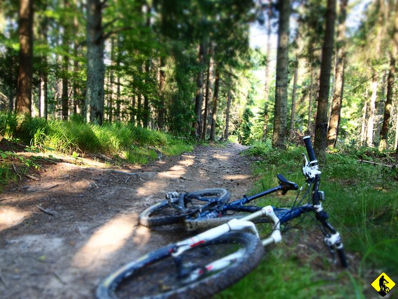 12.JPG - Z Czubakowskiej zaczyna się rewelacyjny odcinek (zjazdowy), którym jeszcze nie jechałem. Pokuszę się o stwierdzenie, że najlepszy w tym marnym sezonie!