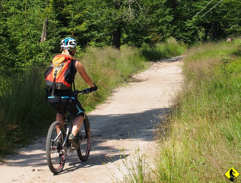 4.jpg - Szlaki pozwalają na bezstresową jazdę. Bardzo mało kamieni, ubita szeroka ścieżka. Z kolei trasa wiedzie średnio powyżej 1000m n.p.m. Można by się obawiać, że dzięki niej będą tłumy „niedzielnych turystów”, lecz Ci (w większości przypadków) poprzestają swoje „wycieczki” w restauracji na Jaworzynie 