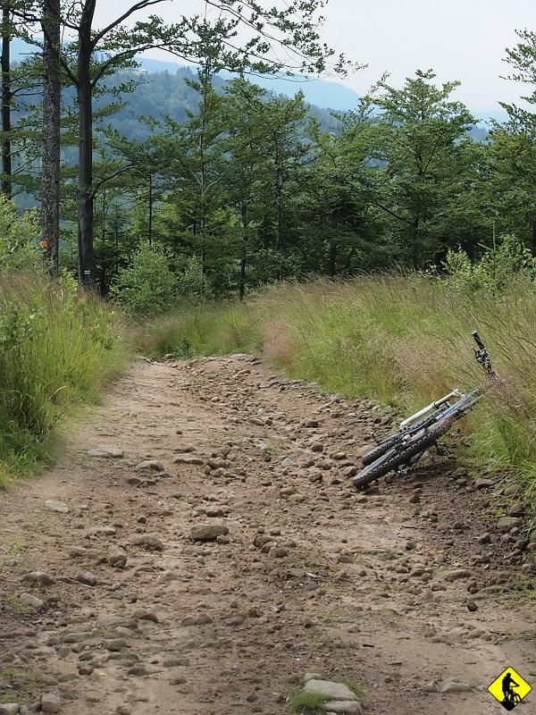11.jpg - 95% tej trasy można pokonać z siodła i jedzie się dość przyjemnie. Beskid Śląski jest fajny :) Choć w sumie to okolica, którą można zjeździć w dwa do czterech dni. Potem to już kombinacje i pokonywanie najlepszych tras w lustrzanych wersjach.