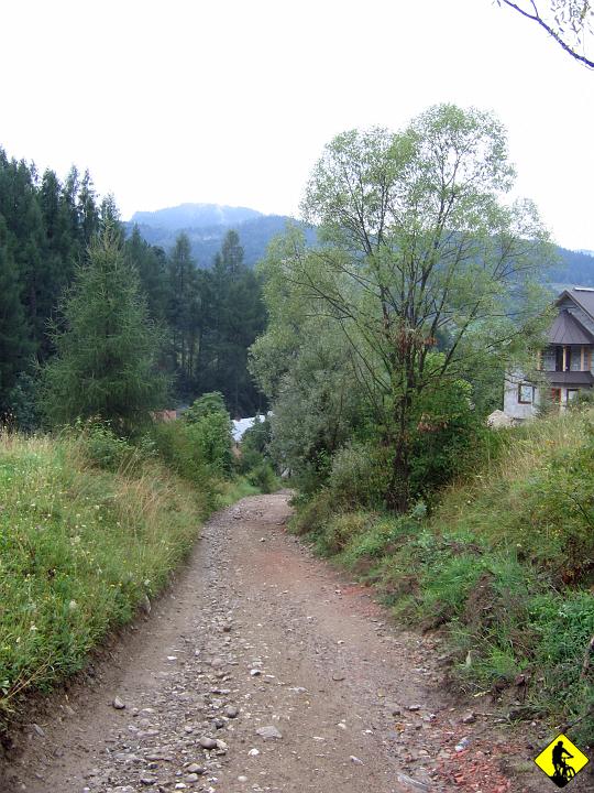 IMG_2390.jpg - A trasa to opisywana przez wielu klasyka Sądeckiego: Krościeńko-Dzwonkówka-Przechyba-Radziejowa-Rozdziela-Wysoka-Szczawnica-Krościenko.  i porót do Kluszkowców (niestety 10km ciągle lekko pod górę).