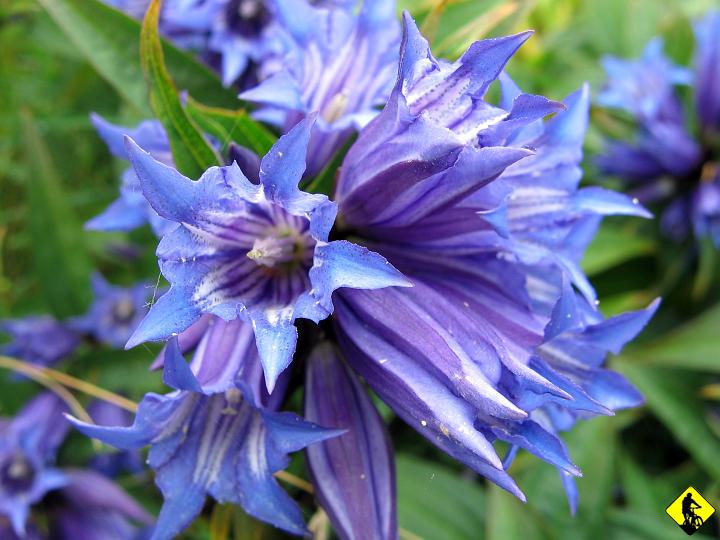 IMG_2432.jpg - Przed Wysoką.