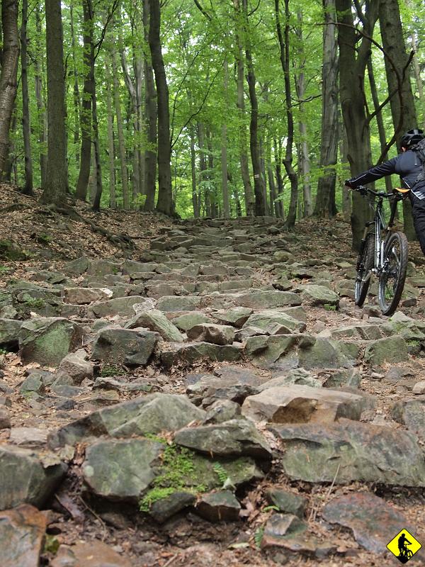 2.jpg - Po kilkuset metrach krajobraz iście kosmiczny jak na tą okolicę. Głazy wielkości głowy. Im wyżej, tym te głowy robią się większe.