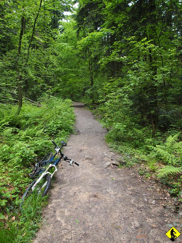 4.jpg - Za Łysicą teren robi się bardzo przyjemny i kręcimy (jadę z Grześkiem) czerwonym w kierunku Przełęczy Św. Mikołaja. Jest wilgotno i mokro. 100% koncentracji przez 100% czasu.