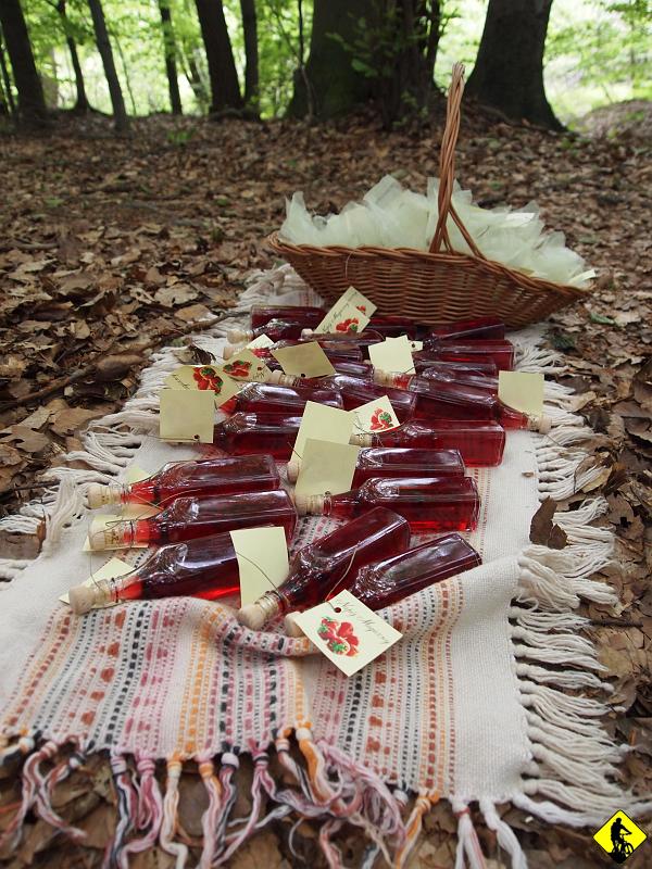 6.jpg - Ścieżka biegnie na linii lasu, dość kręta i poprzecinana strumykami. Gdyby nie odgłosy samochodów to gotów byłem uwierzyć, że jestem z jednym z Beskidów. W kilku miejscach stali dziwnie ubrani ludzie, jakby oderwani od rzeczywistości. Jedna z dziewczyn miała buteleczki z napojem magicznym. Dowiedzieliśmy się że to jakaś gra terenowa organizowana przez gminę. Chodzi się po lesie i przy napotykanych postaciach odgaduje zagadki w zamian za jakieś tam małe nagrody lub wskazówki. Na moje oko to jakby terenowy Fort Boyard  :)