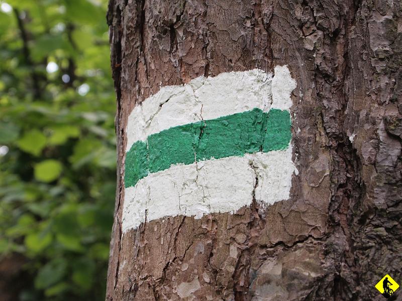 9c.JPG - Zielony szlak przez Kobylą Górę KOMPLETNIE nieprzejezdny. Mnóstwo powalonych drzew. Chciałem przejechać przez Wał Małacentowski, ale w okolicy nie było żadnego otwartego spożywczaka.