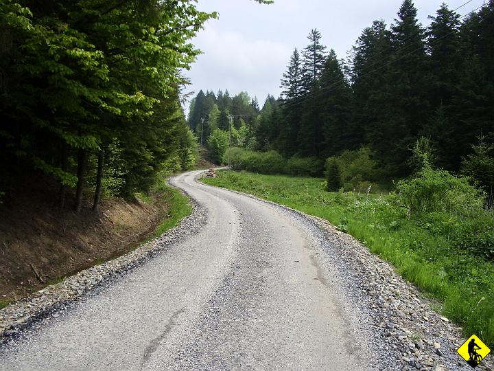 IMGP3539.jpg - Powoli zbliżamy się do końca 1 części trasy (asfalt). Za miejscowością Krzywa po 29 km wbijamy się wreszcie w teren...