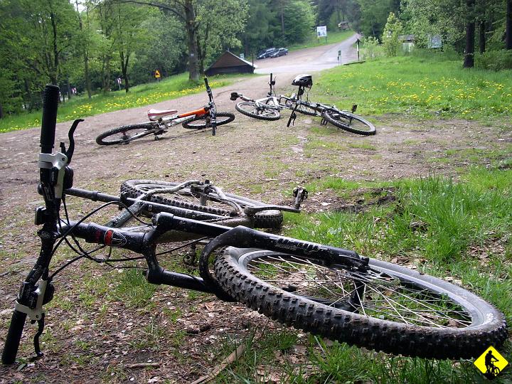 IMGP3541.jpg - Jeśli rowery zrobiły sobie pamiąkowe zdjęcie...