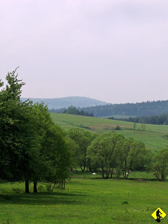 IMG_0934.jpg - Po lewej już widać najwyższy szczyt do zdobycia. Wtedy wydawało mi się, że to małastowska, ale teraz patrząc na mape widzę, że tam nie ma masztu... (konsternacja)