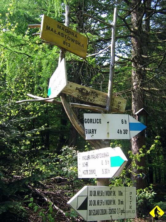 IMG_0983.jpg - Ociężale dotarliśmy na Magurę. Gdy pisałem, że powrót pasmem był bombowym pomysłem, miałem na myśli 90% w dół do Ropy z tego miejsca!