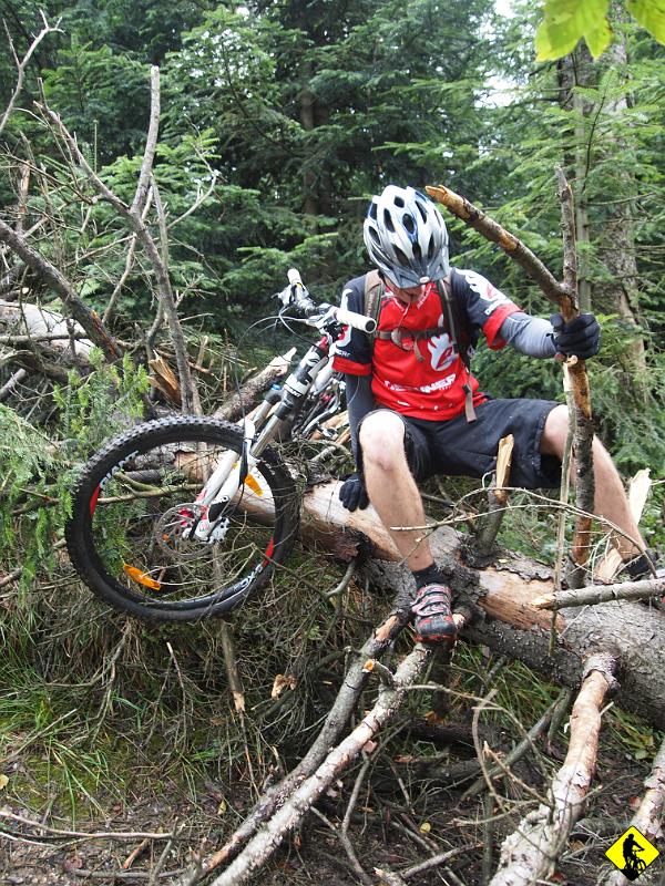 P9143449.jpg - I oto proszę! Tak się traktuje testowe rowery? :) Dobrze, że przedstawiciel Gianta na PL tego zdjęcia nie będzie widział, bo podobno dostałby skrętu jąder na widok wiszącego na drzewie roweru, który potem chciałby sprzedać jako nowy ;) A który obleci wszystkie większe i mniejsze pisma, czasopisma, portale, ble ble ble o tematyce rowerowej :)