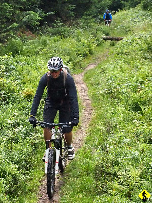 8.jpg - Jechałem tędy z Agą i z Przełęczy odbiliśmy na Rysiankę. Teraz jedziemy / prowadzimy nadal niebieskim szlakiem, aż do Trzech Kopców. Szkoda, że w wielu miejscach leżą powalone drzewa, to przerywa płynność czerpania przyjemności.