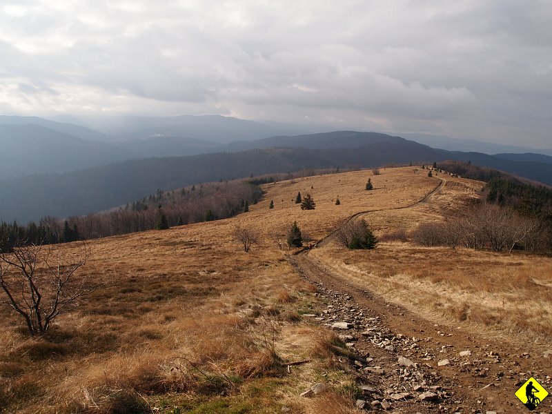 6.JPG - Jak sam widzisz nadciąga front z deszczem, który nas zleje jak już będziemy wracać do auta asfaltem.