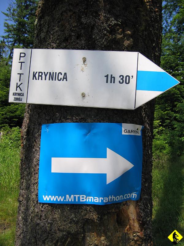 IMG_3592.jpg - Dzięki oznakowaniu nie trzeba się bawić mapą. Tak czy inaczej wydawało mi się, że kręcimy się w kółko, bo zawsze do Krynicy było ok. 1h ze szlaku…