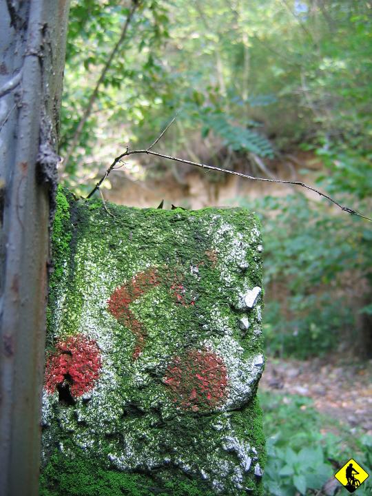 IMG_3045.jpg - Wróćmy do tego, że miałem wystartować z Nawojowej Góry i bujać się w tamtejszych okolicach, ale okazuje się, że Tata też was może wystawić... więc aktualnie jestem w Szczyglicach. Praktycznie cały czas jadę "hardtail"