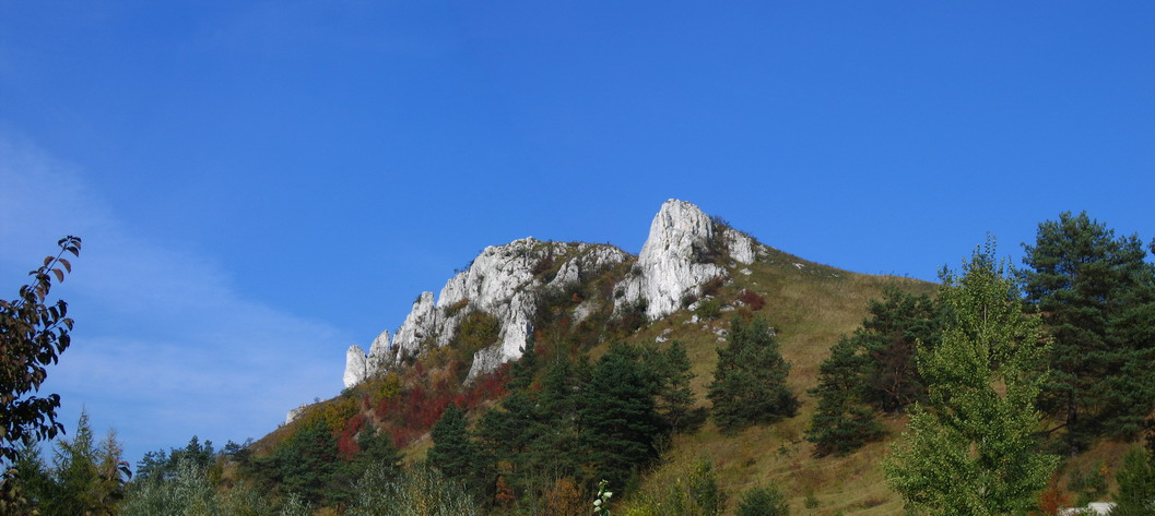 skalka.jpg - Z Krzeszowic błąkałem się trochę, by natrafić na szlak w Paczółtowicach i wkręcać się powoli w Jurajskie widoki. Na zdjęciu "powroźnikowa". Dalej były piaszczyste ścieżki grzybiarzy przez Zawadę, Zimnodół, Osiek by wreszcie...