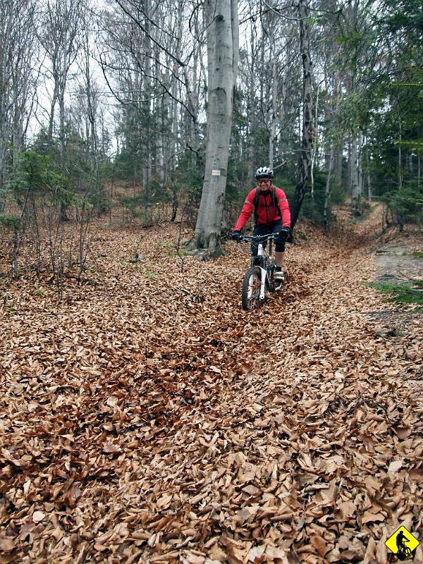 11.jpg - Oto przykład mojej (naszej) tezy na temat prawdy. Rower po osie w liściach dobitnie uświadomił nam, że jeszcze 2 tygodnie potrzeba by życie powróciło do lasów. Wszędzie szaro i ponuro.