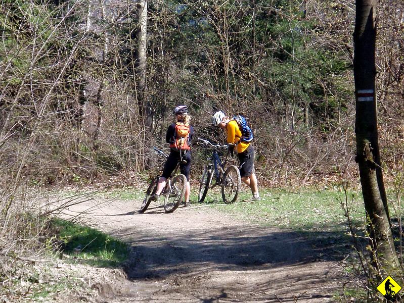 P4250944a.jpg - Gdy tak czekaliśmy, pomyślałem, że trzebaby się dokładniej przyjrzeć B.Makowskiemu, bo wystarczyła chwila na odkrycie całkiem fajnej trasy niedaleko od Krakowa. Już teraz wiem, że 3go maja była kijowa pogoda i kolejna okazja na reset w górach przepadła.