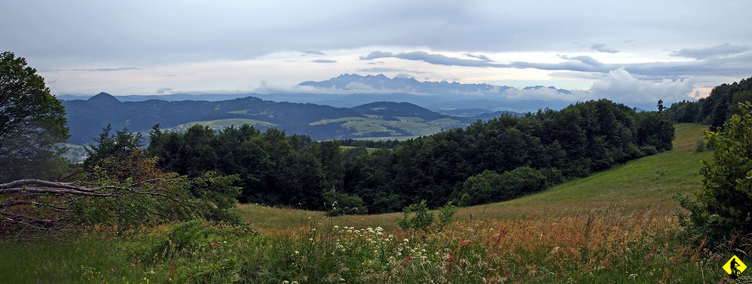15.jpg - I mimo, że łapię dwa kapcie (jeden w połowie, drugi już w Krościeńku na płytach i stamtąd zapycham już z obcasa, bo nie ma sensu na 500m rozgrzebywać się z gratami) to ten odcinek ładuje bardzo pozytywną energią.