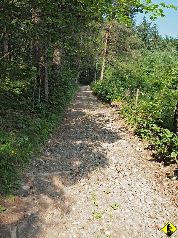 P7031643.jpg - Trzeci dzień naszego mini urlopu (choć urlopem to nie było). Ja i Aga uderzamy w Śląskim na Czantorię. Kulawa Polska niestety nie pozwala w pełni cieszyć się rowerem i na szczyt musimy dymać sami - wyciąg nie zabiera rowerów, gdyż kiedyś tam, rowerzysta wpadł i potrącił śmiertelnie turystkę z siatką i w szpilkach... Ciekawa sprawa, gdyż na Skrzyczne z rowerem bez problemu się wyjedize.