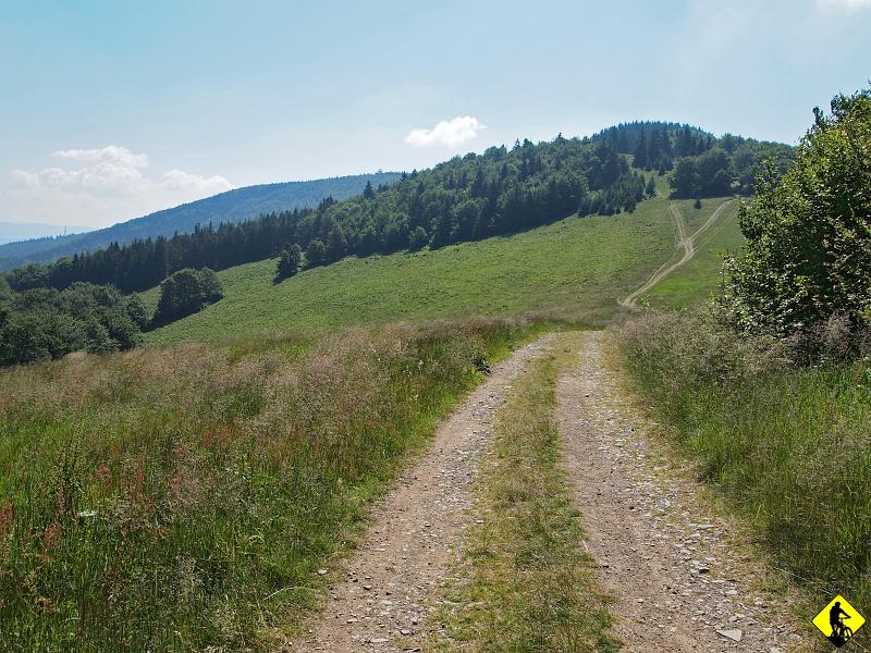 P7031645.jpg - Częściowo po omacku wdrapujemy się ma pasmo już na małą Czantorią z widokiem na Wielką Czantorię. Pogoda wręcz wyborna! oby tak do końca lata!