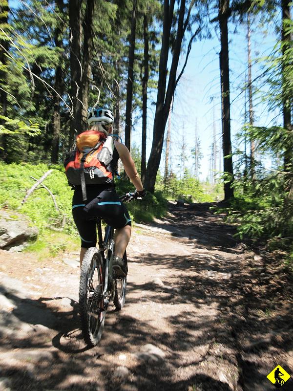 P7031742.jpg - Tą trasę można modyfikować na miliony sposobów. Wystarczy wczytać się w mapę tego terenu i już boli głowa od możliwości kombinacji na kolejne mniejsze wypadziki lub większe wypady.