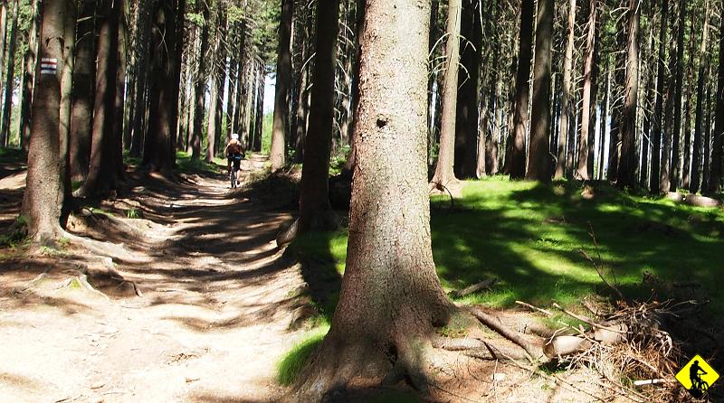 P7031780.JPG - My z Wisły przedostajemy się szlakiem rowerowym wiodącym wzdłuż Wisły (rzeki) do Ustronia. Jest to w 90% asfalt.