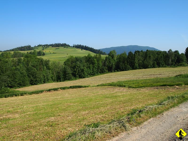 1a.JPG - Ścieżka wiedzie ubitą drogą, pomiędzy polami. W oddali widać Luboń z charakterystyczną radiowo-telewizyjną stacją nadawczą. Kolejny pomysł na aktywnie spędzony dzień.