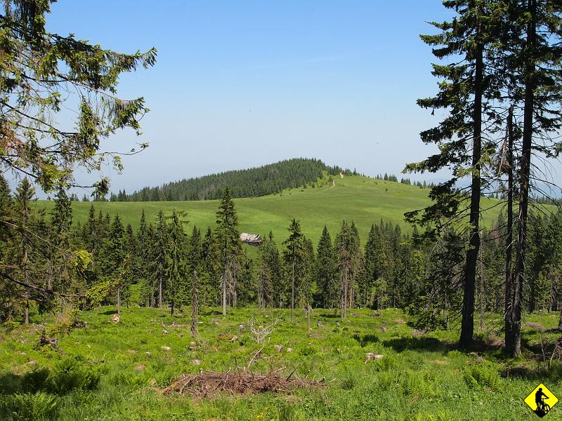 6.jpg - Czoło Turbacza i Hala Turbacz. Piękne Gorce. Kiedyś droga widąca ze Starych Wierchów na Turbacz wydawała mi się krótsza. Może wtedy jechaliśmy szybciej :) Przypomniałem sobie dlaczego unikałem przyjazdu tutaj - tłumy turystów. Ostanio jednak zauważyłem, że ich liczba sukcesywnie maleje. Młodych to już prawie nie ma - era komputerów i cyberspołecznościowych portali opanowała mózgi młodzieży.