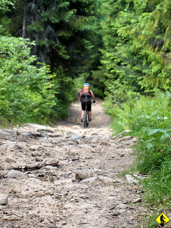 8a.jpg - Żółty, czarny i wreszcie zielony z Bukowiny Obidowskiej sprowadza nas iście technicznym (częściowo dość kamienistym) zjazdem do Obidowa. Aga, jak na dziewczynę, która zaczęła na poważnie przygodę z rowerem 3 lata temu, radzi sobie zajebiście na zjazdach. Sama przyznaje, że to dzięki nowemu rowerowi. Uwolnił z niej strach. Stary dobry Gary to już wspomnienie. Teraz na ścieżkach rządzi Tajwański Giant.