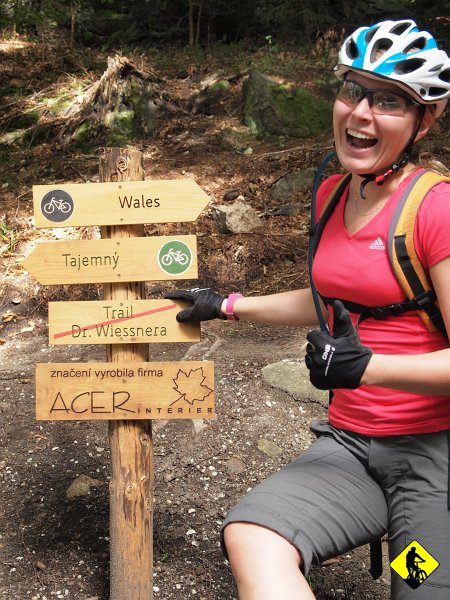 P8196707.jpg - Słyszałem też, że właściciel Wyciągu Tobołów w Gorcach ma ambitne plany co do rowerowania w Polsce, ale kto wie jak to się skończy.