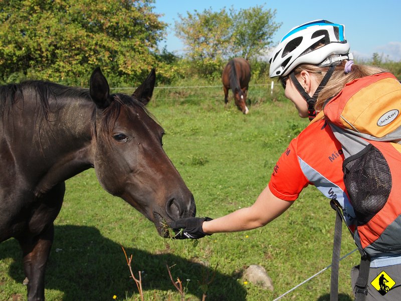 P8206718.JPG - Drugiego dnia uderzamy w północnym kierunku na ścieżkę o nazwie „Trail podel Cerneho potoka” , która jest określona jako łatwa.