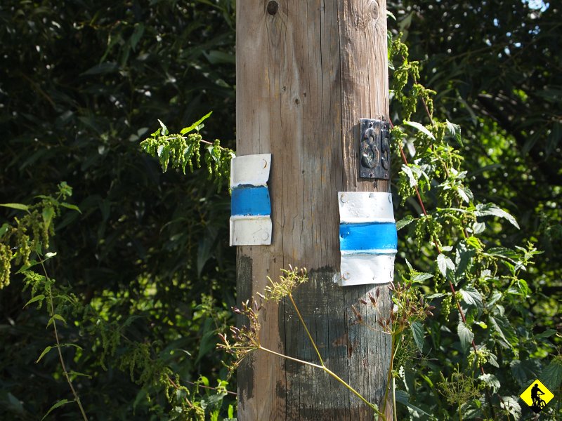 P8206759.JPG - Kończy się w mieścinie przy „kompleksie” rekreacyjnym. Powót tej trasy jest zaplanowany na mapie szutrami i asfaltem, co jednak na porę dnia (właściwie to minęło dopiero ok. 2h) jest bezsensowne. Kierujemy się zatem niebieskim szlakiem na Pobliską „Bożą górę”, na której usytuowany jest mały kościół i skąd rozciąga widok na pobliskie i dalsze tereny.