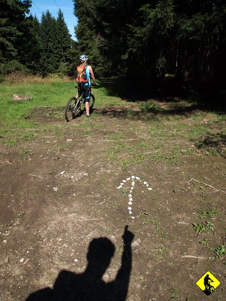 P8216791.jpg - Wszystko miało być realizowane w terenie :) no coś pięknego! Mijamy Jaskinię Radocyńską i niebieskim szlakiem kręcimy do przełęczy przecinającą drogę krajową.