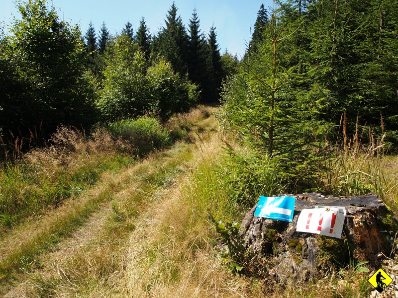 P8216803.JPG - Wszystko miało być realizowane w terenie :) no coś pięknego! Mijamy Jaskinię Radocyńską i niebieskim szlakiem kręcimy do przełęczy przecinającą drogę krajową. Chwila przerwy. Do Barda prowadzi niebieski szlak, który jest raz to szutrowy, raz to wąska ścieżka wcinająca się w wąwóz. Jak widać na focie, maratony też tutaj też się organizuje :)