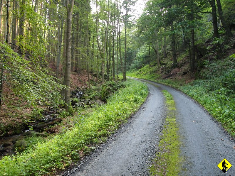 P8216873.JPG - . Z moich obliczeń do Lądka miało to być ok. 8kmów. Podjazd na przełęcz przyjemny, bez zmian kąta nachylenia.