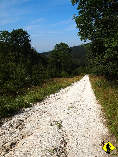 P8226888.jpg - Wysokość zdobywamy kręcąc przez Wojtówkę niebieskim rowerkowym, by dotrzeć do zburzonej wioski Wrzosówka. Podjazd sztywny i dający wycisk (dodaj do tego upał i brak cienia).