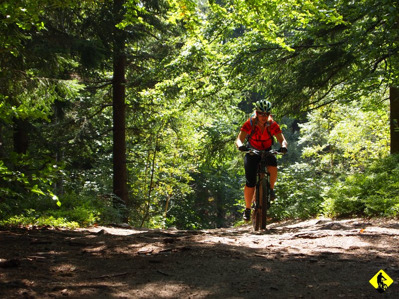 P8226912.JPG - Za Wrzosówką wbijamy się na szlak graniczny koloru zielonego, który już łagodniej doprowadza nas na Borówkową.
