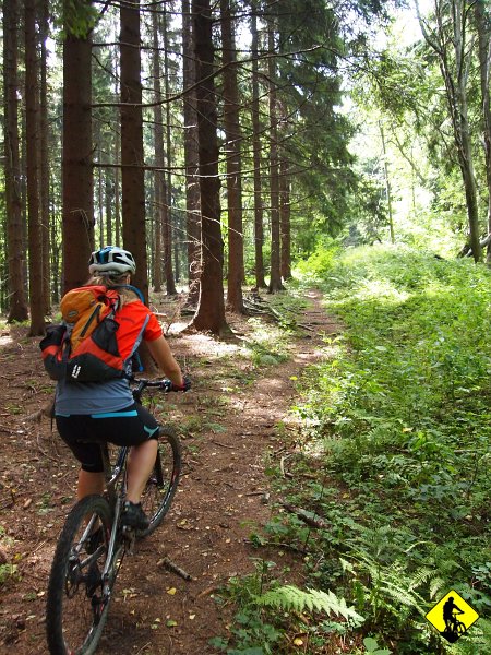 P8226993.jpg - Z przełęczy wymyślam, żeby pojechać wzdłuż granicy aż do przełęczy Krupowskiej. Częściowo był to dobry pomysł, częściowo nie, gdyż szlak mało uczęszczany i zarasta. Odcinki przejezdne są fajnymi singielkami. Szkoda, że tak mało ludzi tędy chodzi, bo kiedyś ta ścieżka będzie wspomnieniem.