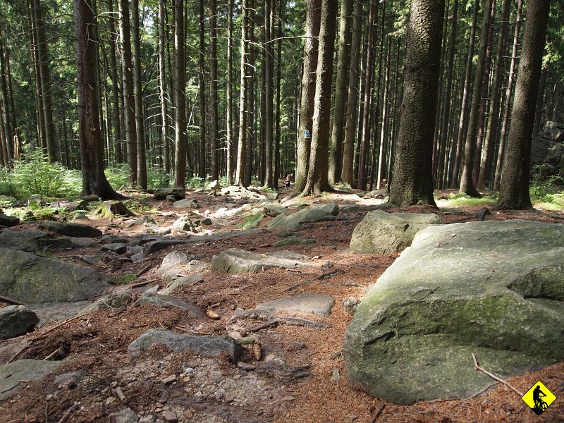 P8227007.jpg - Z Krupowskiej zjazd do Lądka po legendarnych kamieniach. Jest technicznie, jest szybko!