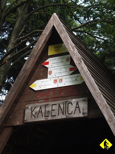 P8237098.jpg - Góra Kalenica i jej wieża widokowa.