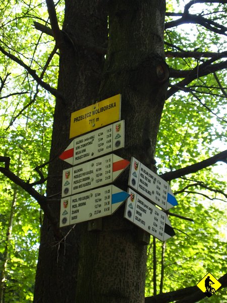 P8237107.jpg - Z przełęczy Woligorskiej do Srebrnej Góry zostało 10km. Wygląda na to, że Cel na dzisiaj zostanie osiągnięty, choć zad daje o sobie znać.