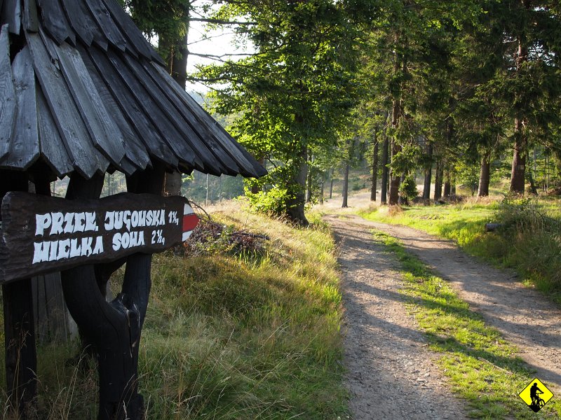 P8237144.JPG - Nic się nie odzywałem, ale cierpienie w okolicach zada było duże. Jak by to wyglądało, gdybym okazał słabość. Przecież to ja jestem super rowerzystą i zawsze daję radę. Pozatym, nogi też powoli odmawiały posłuszeństwa. Gdzie ta forma co była na TC! hahaha.