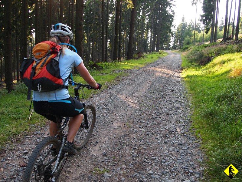 P8237150.JPG - Musze przyznać, że trasa naprawdę fajna! Do Srebrnej Góry same ścieżki turystyczne, a z powrotem klasyczne dla Gór Sowich szutry!