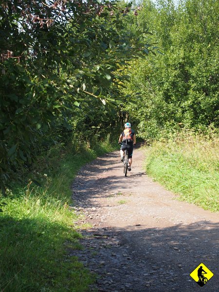 P8247175.jpg - Przebijamy się czerwonym szlakiem przez Masyw Włodarza...