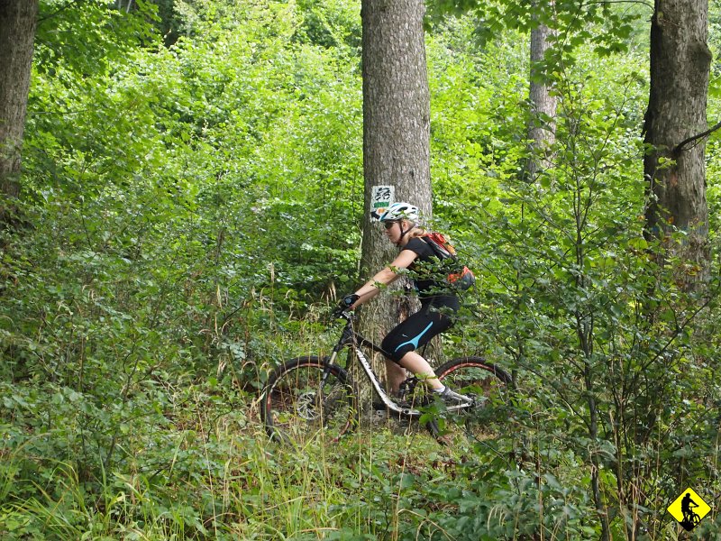 P8247191.JPG - Chłopaki wykonali kawał dobrej roboty z oznakowaniem i wyborem tras.