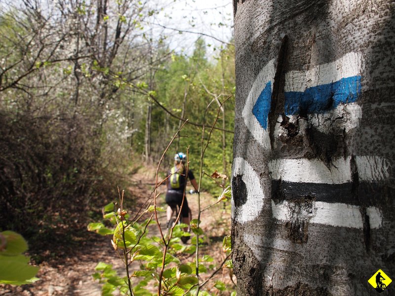 12.JPG - Praktycznie wszystkie podjazdy od tej strony Leskowca są spoko. Zakładamy, że pod schroniskiem będą tłumy i nie mylimy się. Piękna pogoda i dostępność miejsca przyciąga masy ludzi ( masy jak na atrakcyjność tego regionu ).